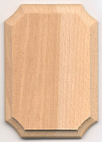 Mini Hardwood Plaque - 2-1/2 x 3-1/2 inch. by 1/4 inch thick - 12 pieces
