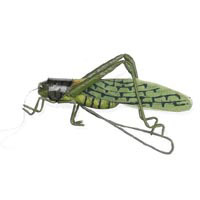 2-1/2 inch Grasshopper